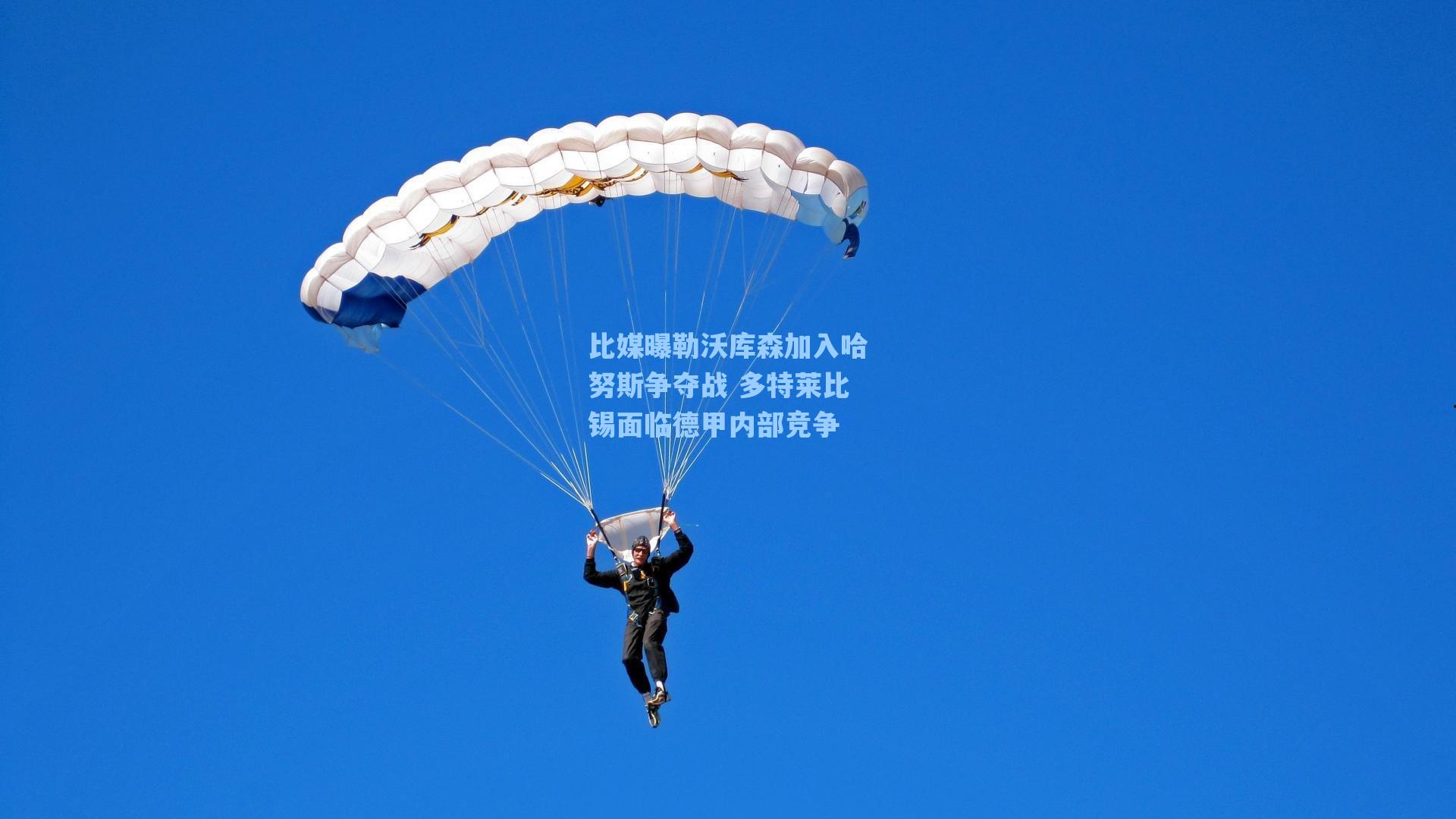 比媒曝勒沃库森加入哈努斯争夺战 多特莱比锡面临德甲内部竞争
