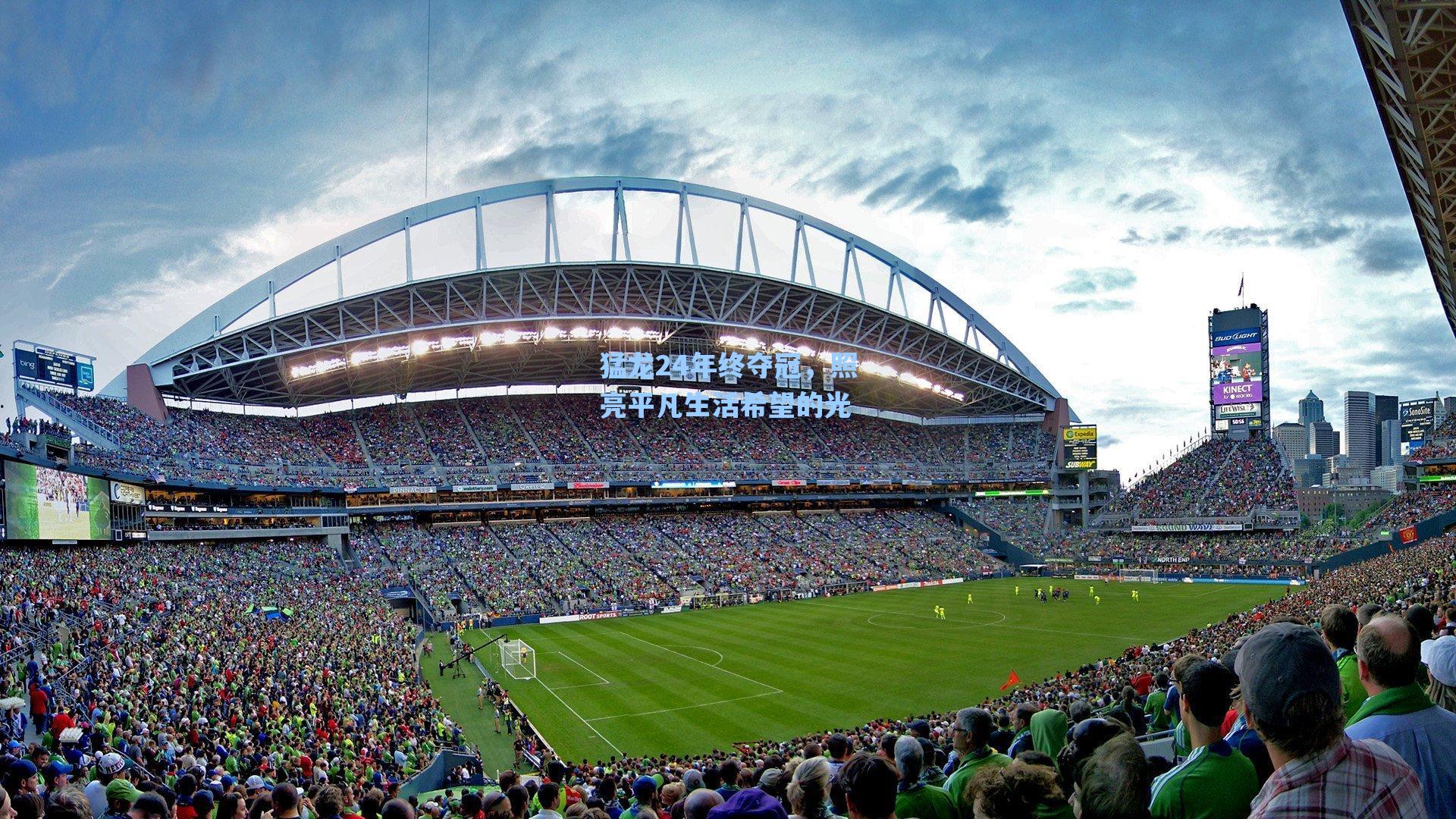 猛龙24年终夺冠,照亮平凡生活希望的光